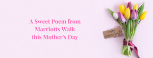 Marriotts Walk Blog Mothers Day Header 927x356px-1